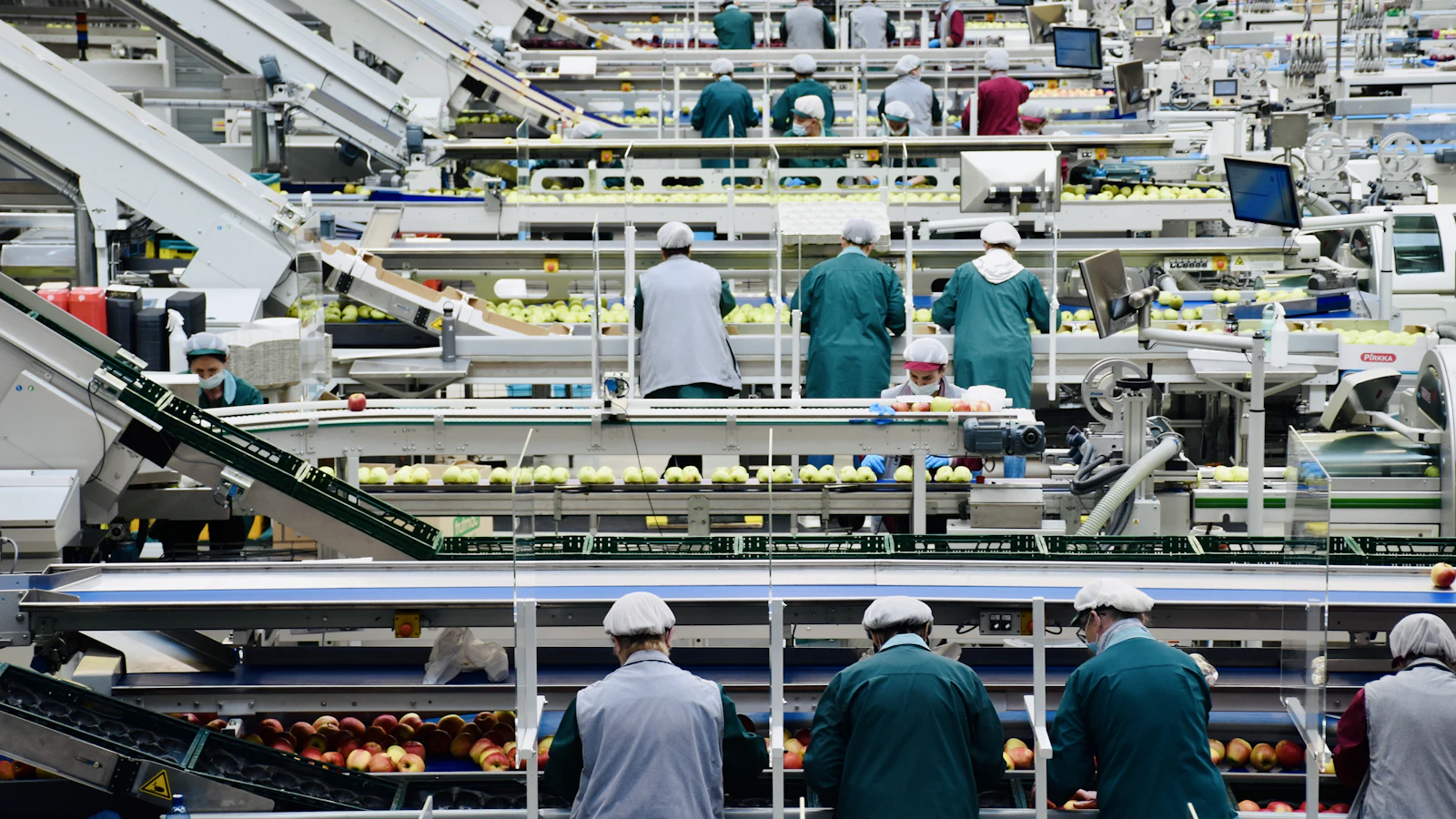 Ligne de production agroalimentaire